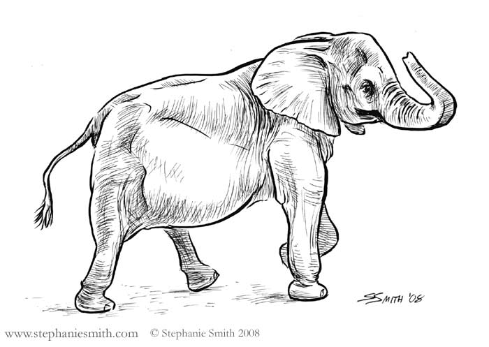 Elephant Mother