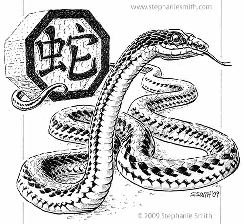 Year of the Snake  Preview