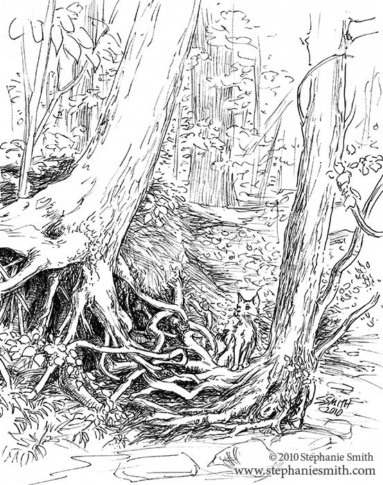 Wilderness Sketch