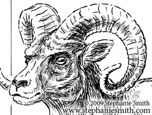 Chinese Zodiac Preview  the Sheep