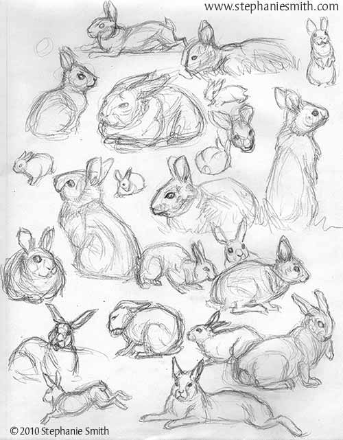 Bunches of Bunnies sketchbook page