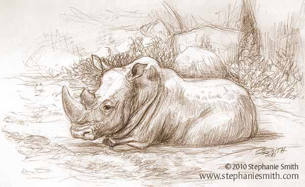 Rhino Wallow